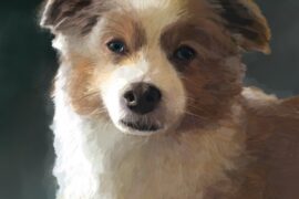 Painting of a fluffy brown and white dog