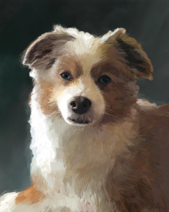 Painting of a fluffy brown and white dog